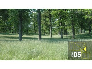 Property photo 24 - Land Auction 458+/- acres in 11 Tracts - Farmland, Woods